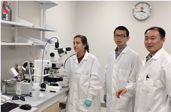  Professor Xiaoming Samantha Stewart Yuntian Zhang Linkam cryomicroscopy system